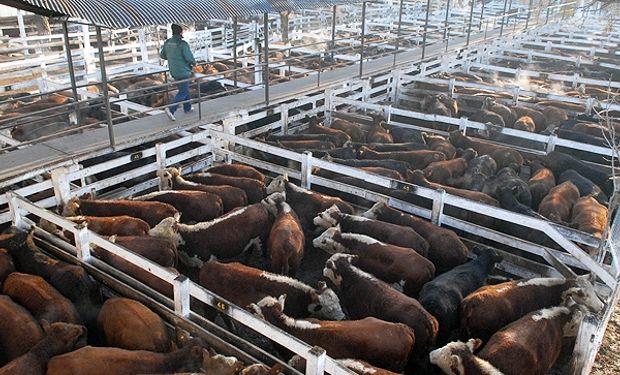 Ventas ágiles y cotizaciones sostenidas
