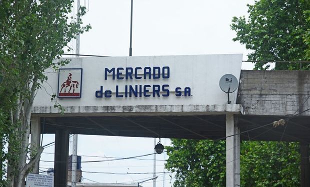 Por un conflicto gremial en el mercado de Liniers, miles de animales quedaron afuera de la plaza ganadera