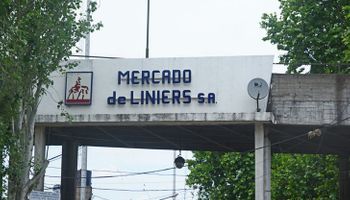 Legisladores prorrogan el traslado del Mercado de Liniers a Cañuelas por demoras en las obras