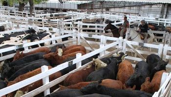Tono selectivo en Liniers en el comienzo de la semana