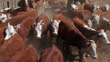 Semana atípica por la influencia del paro agropecuario