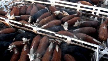 El consumo especial con sólida salida