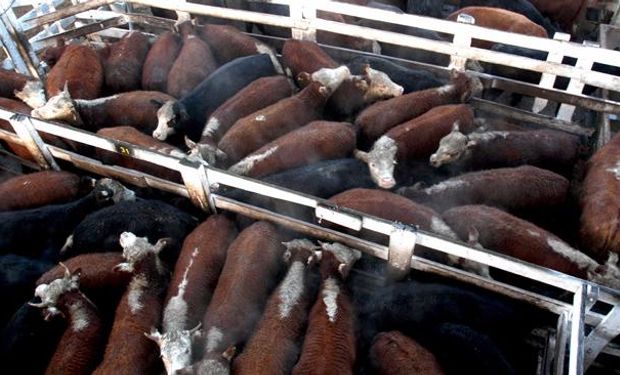 La semana finalizó en Liniers con la oferta más importante de las 5 rondas de operaciones y un acumulado superior a los 30 mil animales.