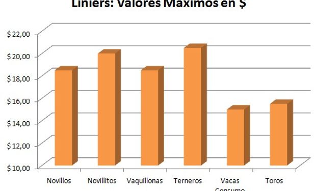 Mes de Diciembre de 2014.