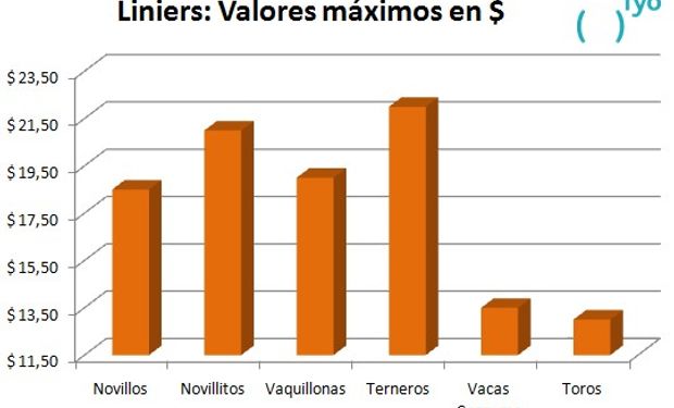 Mes de abril. Mercado de Liniers.