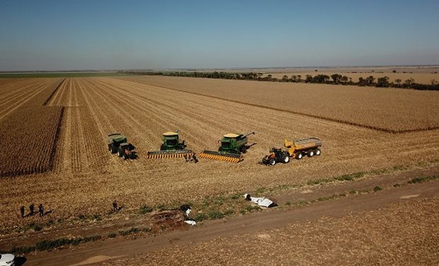 Lipsa, un gigante silencioso en la conquista del NEA: padre e hijo quieren producir en 150 mil hectáreas