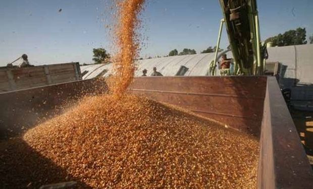 Agroexportadoras liquidaron u$s 578 M