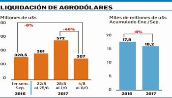 El agro liquidó sólo u$s307 millones en la última semana