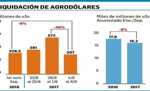 Liquidación de divisas del sector agropecuario alcanzó durante la semana pasada u$s307 millones. Datos: Ciara-Cec