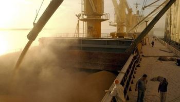 Liquidación de divisas: más de U$S 3.000 millones este año