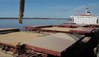 Divisas: U$S 1.611 millones en dos semanas