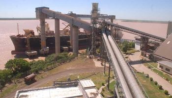 Liquidación de divisas cayó 23,31% en la última semana