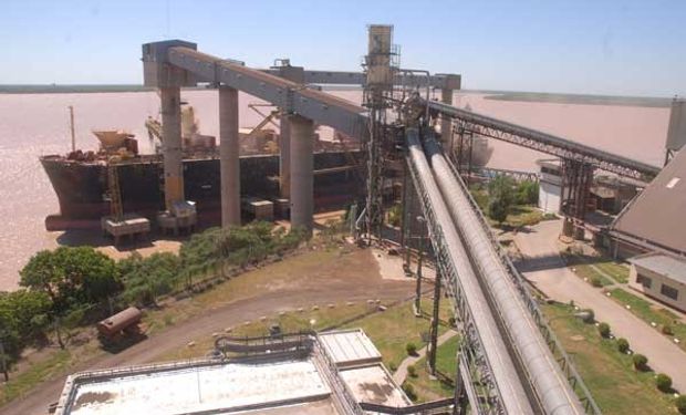 Liquidación de divisas cayó 23,31% en la última semana