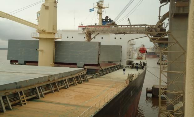 Fue la semana completa con menor liquidación de exportaciones del sector desde la del 16 al 20 de marzo pasado.