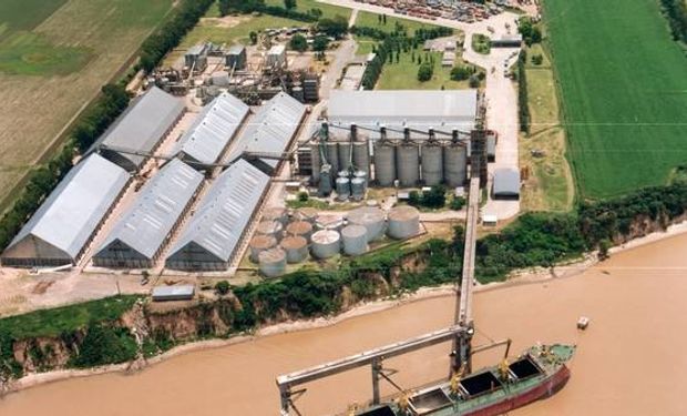 Durante el 2014, el sector agroexportador liquidó U$S 24.000 millones.