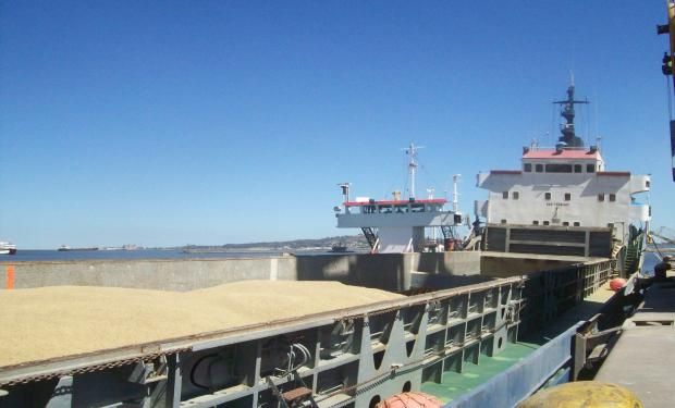 En la última semana, los agroexportadores liquidaron u$s 388,59 millones