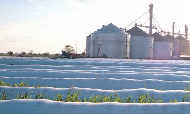 "Las ventas de soja se están realizando en cuentagotas", algo que "no debería ser sorpresa para nadie, son bajos los incentivos de vender que enfrentar los productores", sostienen desde Ieral.