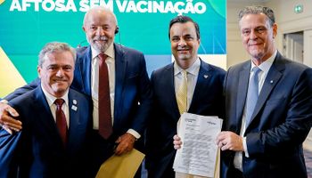 Livre da febre aftosa, Brasil acelera acordos com mercados estratégicos: veja os próximos passos