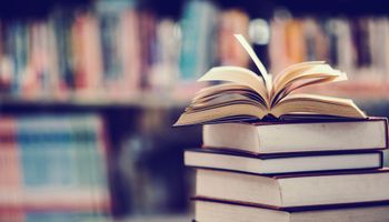 60% das citações sobre agronegócio nos livros didáticos são distorcidas