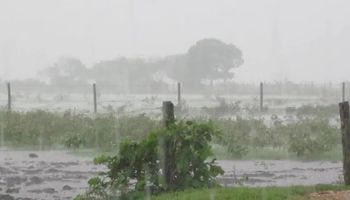 Tiempo para el fin de semana: qué dice el pronóstico para Navidad