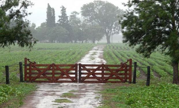 Lluvias a gran escala: día por día, qué dice el pronóstico del tiempo