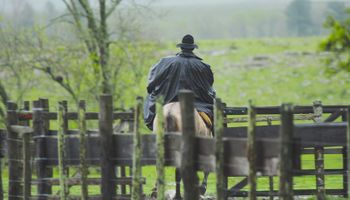 Lluvias de gran cobertura, claves para la soja