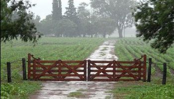 Alerta por lluvias y tormentas fuertes en la zona núcleo: cuántos milímetros se esperan 