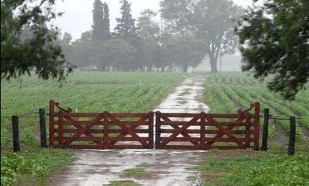 Alerta por lluvias y tormentas fuertes en la zona núcleo: cuántos milímetros se esperan 