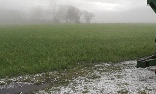 Positivo: cuándo llegarían las lluvias más generalizadas sobre las provincias del centro