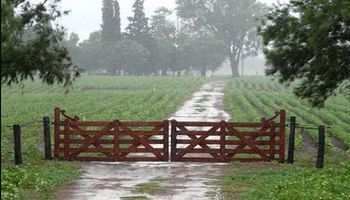 Las tormentas fuertes se instalan en el centro y este del país