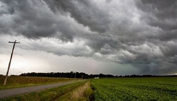 Pronóstico del tiempo: alerta por lluvias y tormentas en la región del Litoral