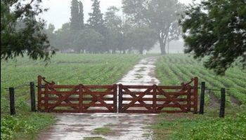 Se esperan lluvias débiles para zona núcleo