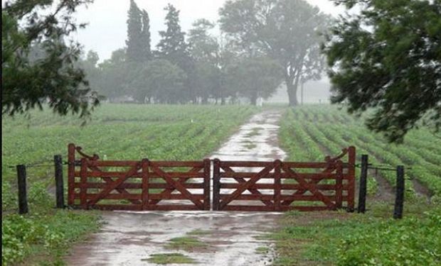 Se esperan lluvias débiles para zona núcleo