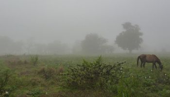 Se repiten las lluvias sobre el este