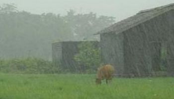 Lluvias extremas en el final de campaña
