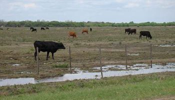 Se registran importantes lluvias en el sudeste y el oeste bonaerense