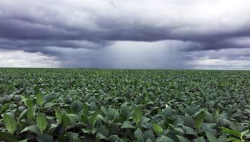 Vuelven las precipitaciones a la zona núcleo: cuánto y dónde va a llover