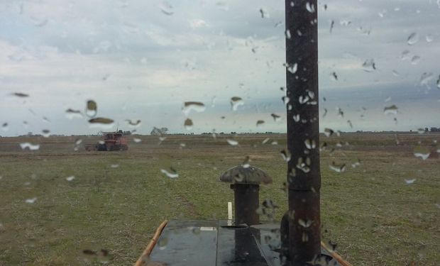 Con la mejora del tiempo se proyecta un moderado cambio en las condiciones ambientales, sin que estén previstas heladas.