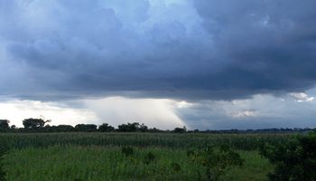Pronóstico del tiempo: alerta por lluvias en zona núcleo