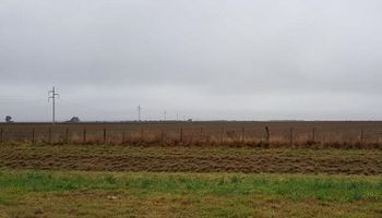 Pronóstico del tiempo: alerta por abundantes lluvias en el Litoral