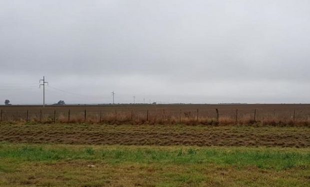 Pronóstico del tiempo: alerta por abundantes lluvias en el Litoral