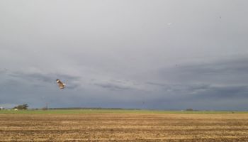 Para el sur y para el norte, alerta doble del SMN por tormentas fuertes e intensas