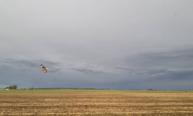 Para el sur y para el norte, alerta doble del SMN por tormentas fuertes e intensas