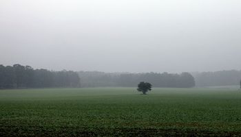 Alerta por tormentas en la franja este del país