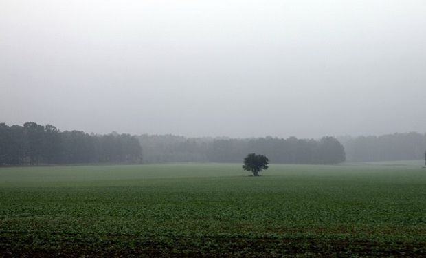 Alerta por tormentas en la franja este del país