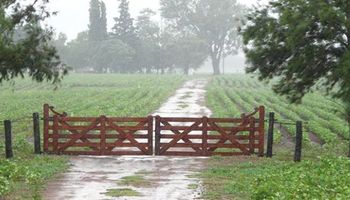 Lluvias y tormentas no dan respiro al NEA