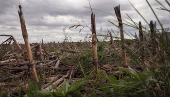 Alerta por tormentas fuertes en el centro norte del país