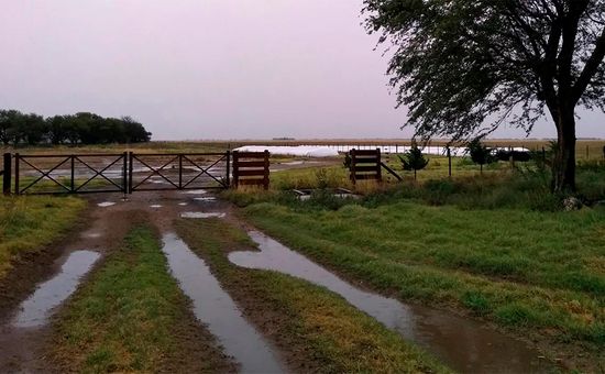 Córdoba, Santa Fe, Entre Ríos y Santiago del Estero, las provincias más afectadas; el acumulado podría alcanzar los 70 milímetros