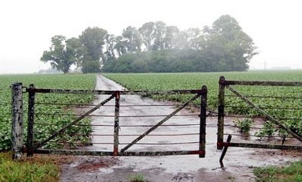 Lluvias del fin de semana mejoran condiciones para soja y maíz