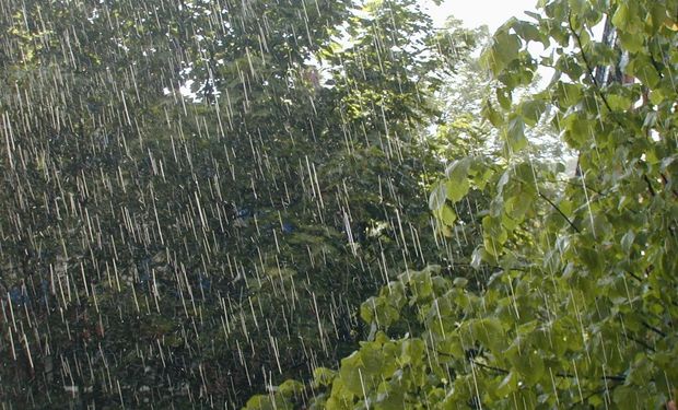 Semana fría, con lluvias para el domingo.